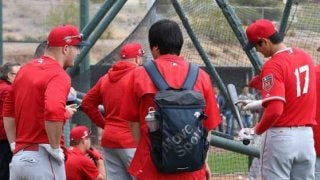 【MLB】主砲トラウト、初めて見た大谷翔平の打撃に…「アンビリーバブルパワー」