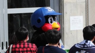 つば九郎があちこちに出没、“青木効果”でファン増加のヤクルトキャンプ