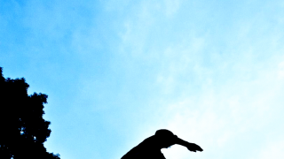 今年のGWは金沢がアツい！新スポーツ「忍者パルクール」大会開催決定！