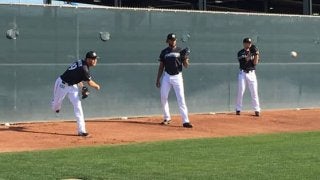 MLBでも同じ年に同じチームでデビュー　日ハム新助っ人コンビにかかる期待