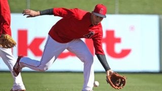 MLBで驚愕プレー連発の遊撃手に直撃「生来の強肩なんですか？」その答えは…