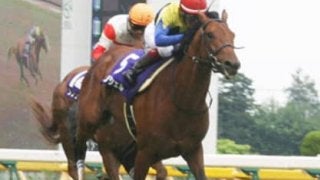 アンコールプリュは次元の違う末脚だ。桜花賞へ、新たなスター登場か