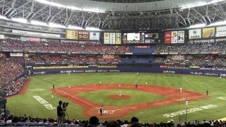 侍ジャパン戦で珍事発生　豪州シェパードの打球が天井直撃ファウルに