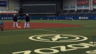 ZOZOマリンの新人工芝がお披露目　オープン戦の巨人戦で使用開始