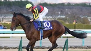 スプリングＳはステルヴィオにあらず。怪物息子に「奇跡の春」がくる