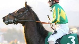 今年だけ荒れる阪神大賞典。穴党記者の４頭でトクトク馬券の組み合わせ