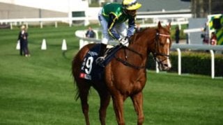 高松宮記念の「消しがちな外国馬ブリザード」が実は弱点を克服した説