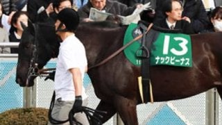 高松宮記念は３タイプの穴馬「前哨戦２着・前走惨敗・７歳」で幸せに