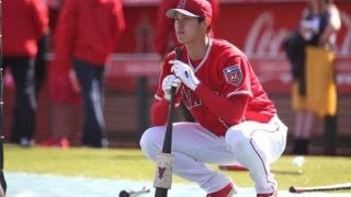 【MLB】打者・大谷の1年目を米記者が辛口予想「本塁打は5本未満」「時間が必要だ」
