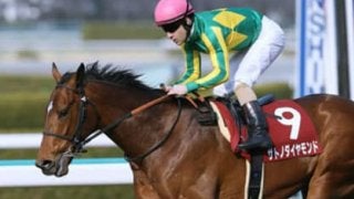 血統が「勝つ」と言っている。大阪杯はサトノダイヤモンドの復活舞台