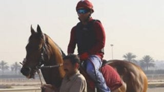 ドバイワールドＣは日本馬無視で、魔法の「万馬券じゅうたん」に乗れ