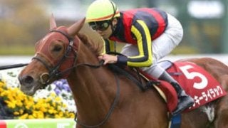 ラッキーライラック対アーモンドアイ。桜花賞バトルはどちらが勝つか