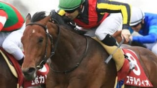 「天敵」が消えた！ 皐月賞Ｖ候補に浮上したステルヴィオに不安は？