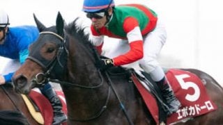 皐月賞の人気馬が差し届かない！そのとき前に残るのは「あの馬」だ