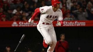 【MLB】大谷、初6番も第1打席は“大谷シフト”にかかり遊ゴロ　3打席目まで無安打