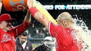 【MLB】3000安打達成プホルスが明かすイチローの言葉「ベンチにいられないけど…」