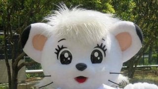 西武が女性向けイベント「ウーマンフェスタ」を開催　11日からのロッテ3連戦で