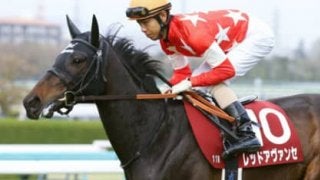 ヴィクトリアマイルは万馬券セール中。「赤札の３頭」は超お買い得！