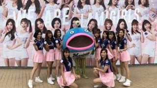 台湾で人気沸騰　ロッテ「謎の魚」が始球式、フォームはまさかの…下投げ!?