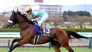 オークスは絶対能力。有力２頭の疑問視は「イテテッ」と大ケガするぞ