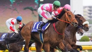 【東京11R/NHKマイルC】ケイアイノーテック直線一気！藤岡佑介代打で一発解答！