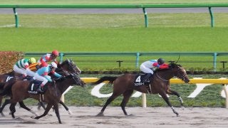 【東京10R/ブリリアントＳ】フェニックスマーク4連勝でオープン突破！