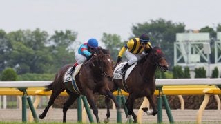 【東京6R/3歳500万下】距離短縮成功！圧倒的人気ディロスが着差以上の完勝