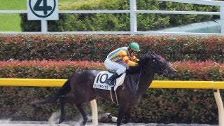 【東京5R/3歳500万下】ゲンパチカイナルが圧勝！直線楽々突き放す