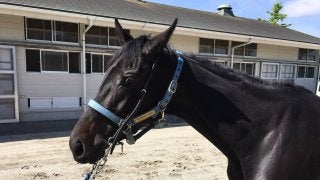 【3歳未勝利】松山「スムーズに抜け出す形になっていれば…」フォルシュナイト前が壁になるも3着