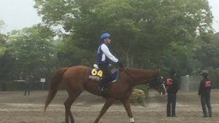 【NHKマイル】ファストアプローチ 藤沢和師「血統的にはぴったり」