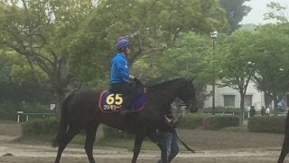 【NHKマイル】プリモシーン 戸崎「条件合ってる」
