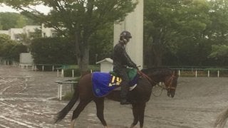 【NHKマイル】ルーカス 血筋の良さでどこまで