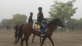 【NHKマイル】テトラドラクマ 東京巧者でチャンス十分