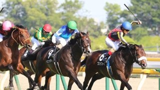 【東京11R/プリンシパルＳ】コズミックフォースが凌ぎきる！ダービー最終便を制する