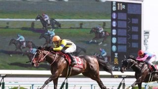 【京都11R/京都新聞杯】ステイフーリッシュが巻き返し！ダービー出走へ当確