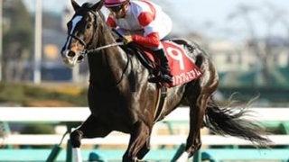 ◎か、スパッと切るか。ダノンプレミアムこそ、ダービー最大の悩みだ