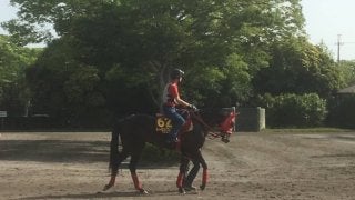 【オークス】トーセンブレスが左前挫石のため出走取消