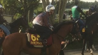 【オークス】パイオニアバイオ 北村宏「色んな競馬が出来そう」