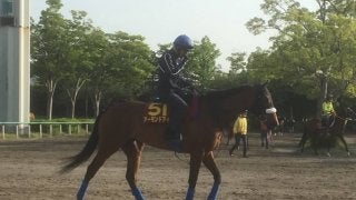 【オークス】アーモンドアイ ルメール 「距離の心配もない」