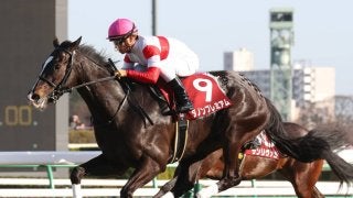 【日本ダービー】ダノンプレミアムは1枠1番！絶好枠を引き当てる