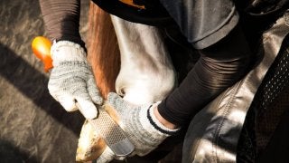 西内荘/装蹄の感触が良かった馬【5/26土曜版】