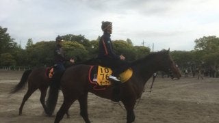 【目黒記念】ゼーヴィント巻き返しに期待