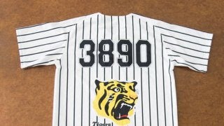 阪神タイガース、虎の保護活動を開始…コラボグッズをクラウドファンディングで販売