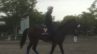 【日本ダービー】コズミックフォース 国枝師「G1のメンバーでどれだけやれるか」