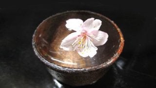 海外でも人気の日本酒を賢く摂取する方法