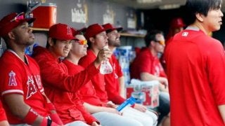 【MLB】大谷の球宴出場をエ軍監督は“プッシュ”「偉大な栄誉になる」　ファン投票開始