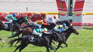 【東京9R/むらさき賞】エアウィンザーが大混戦を制して人気に答える