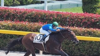 【東京5R/3歳500万下】プロスパラスデイズが新馬以来の2勝目