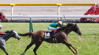 【東京10R/由比ヶ浜特別】新人の山田敬士が9歳馬キングクリチャンをJRA初勝利に導く