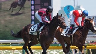 【東京6R/2歳新馬】圧倒的人気アカネサス快勝もヒヤヒヤのデビュー戦